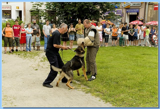 DSCF1721.jpg