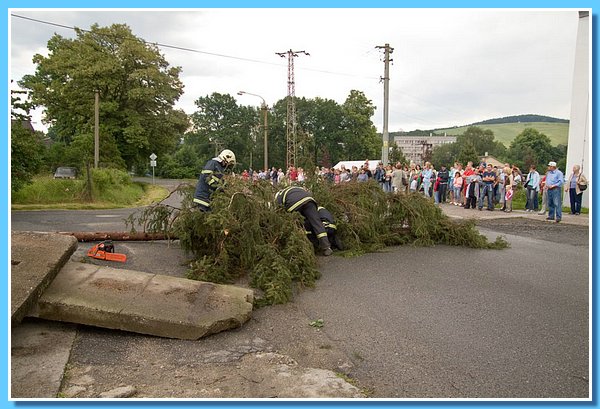 DSCF8695.jpg
