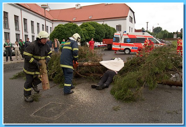 DSCF8700.jpg