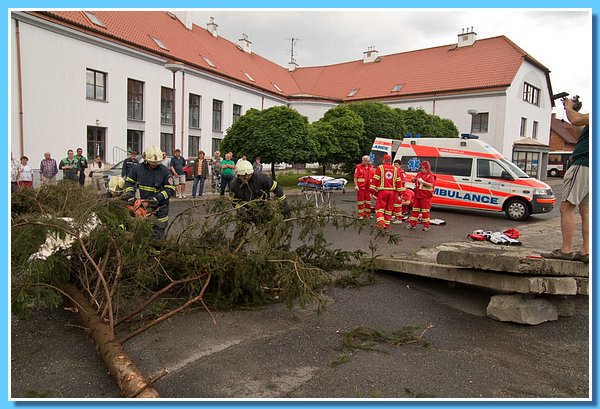 DSCF8701.jpg