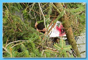 DSCF8693.jpg