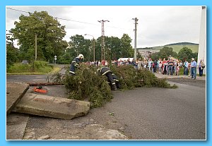 DSCF8695.jpg