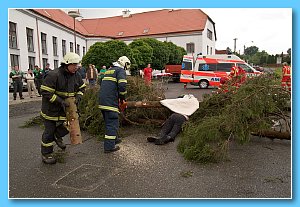 DSCF8700.jpg