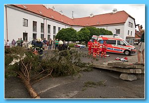 DSCF8701.jpg