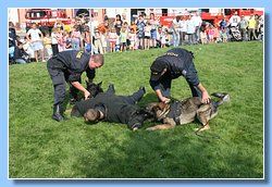 IMG_2277.JPG