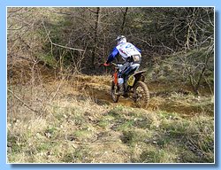 moto_p05.jpg