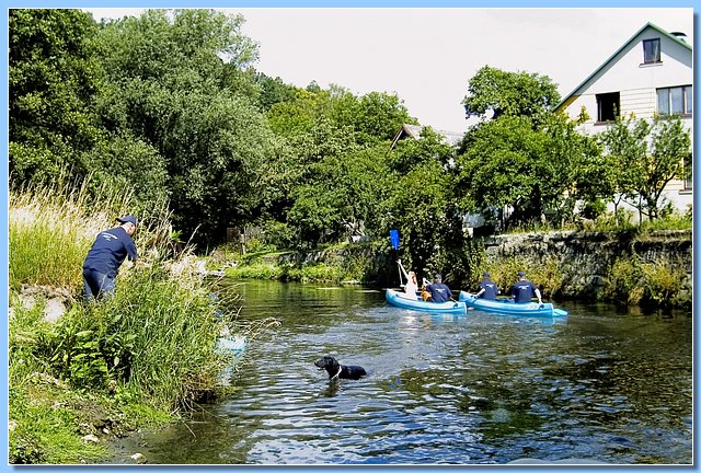 img08473.jpg