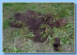 DSCF6069.jpg
