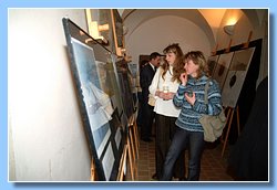 DSCF0532.jpg